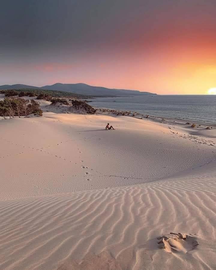 פורטו פינו Case Vacanze Il Sogno 2 חדר תמונה